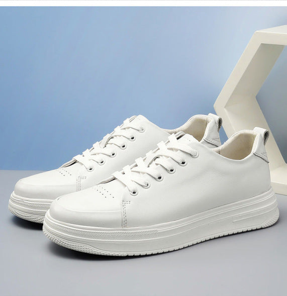 big sneaker white, king stone brothers and co, basket, marque,